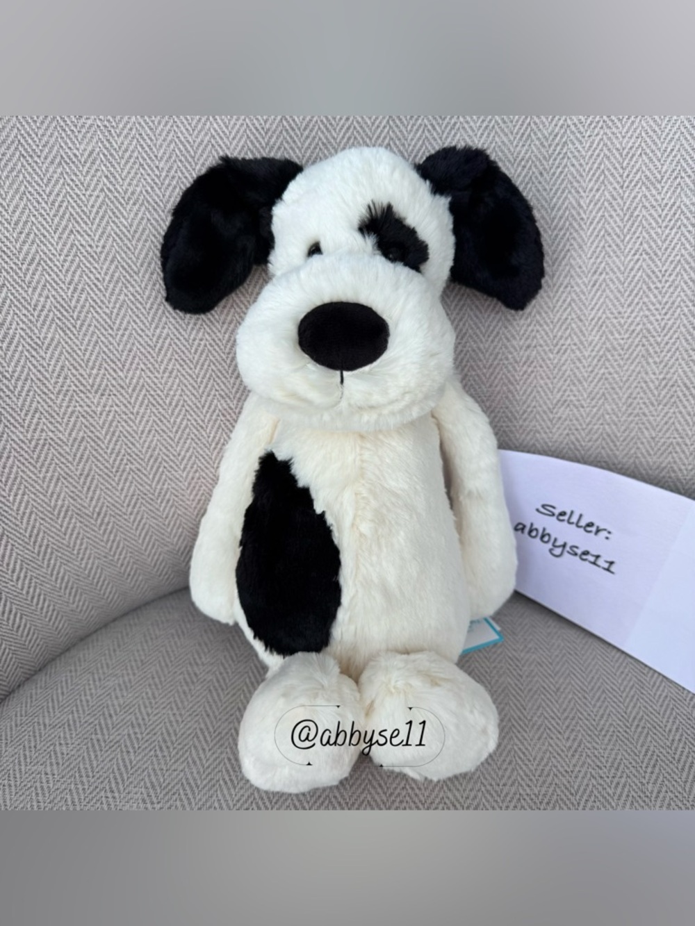 Jellycat Bashful Black & Cream Puppy - Medium - Authentic - BNWT - Fast Ship